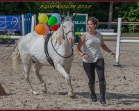1-13JUIN 1228